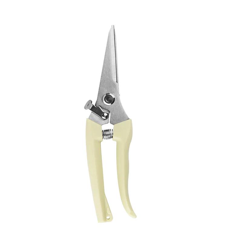 Outil de greffage en acier inoxydable, cisaille de jardinage, ciseaux, outil de branche, cisaille de