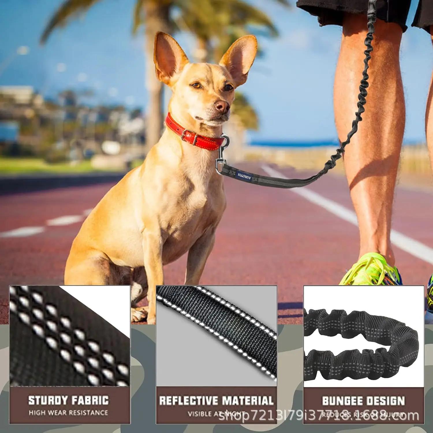 Laisse de chien d'entraînement à tampon élastique, accessoires de marche antidéflagrants pour chiens de taille moyenne et grande