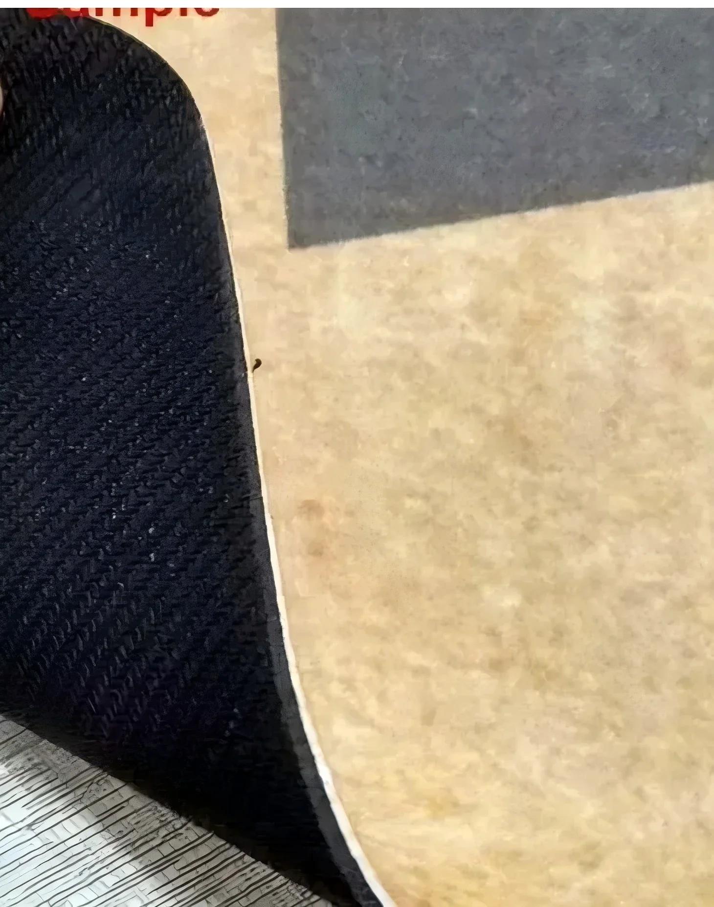 Tapis de Bienvenue Extérieur Antidérapant en Caoutchouc Robuste pour Entrée Maison Garage Cuisine Occasions Spéciales