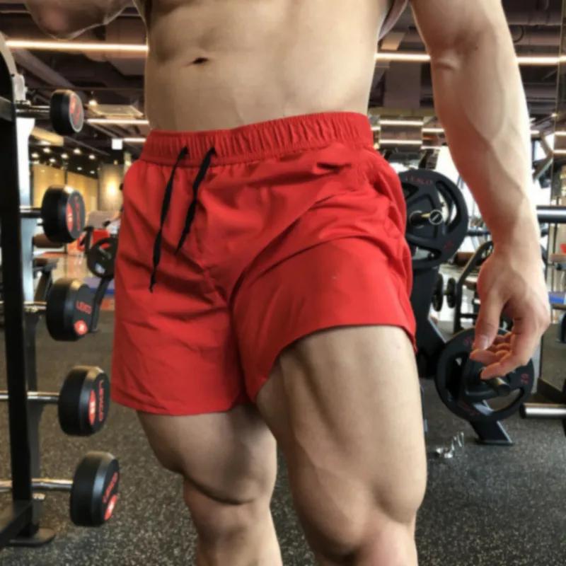 Short de Sport pour hommes