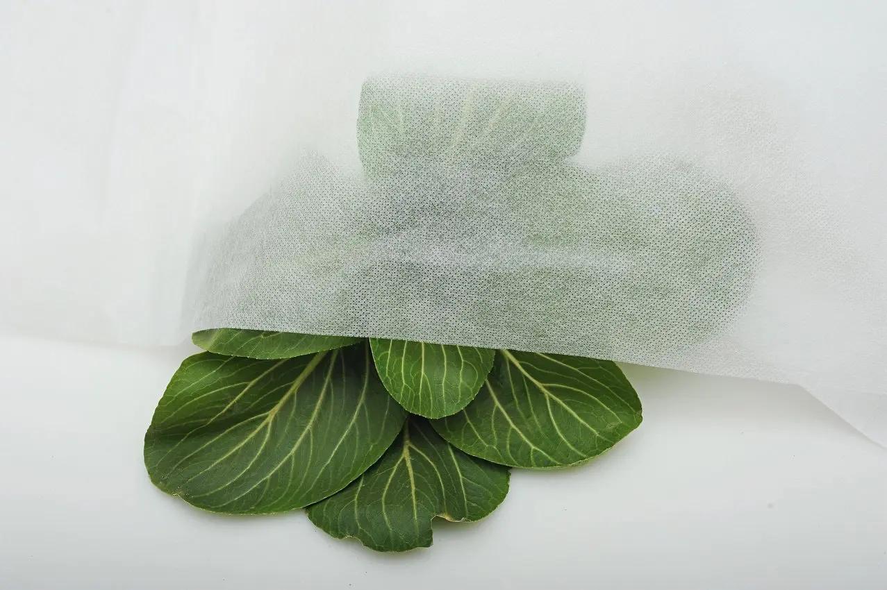 NucleoCover Flottant Plant Blanket, 0.55 oz. 7 ft x 100 ft, Frost Protection and Terrible Weather De