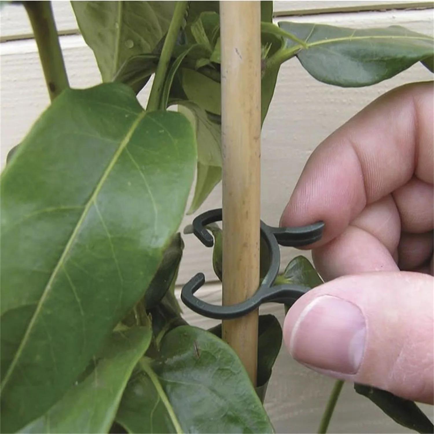 Clips pour plantes de jardin en forme de papillon vert, pince à boucle à levier M, paquet de 100