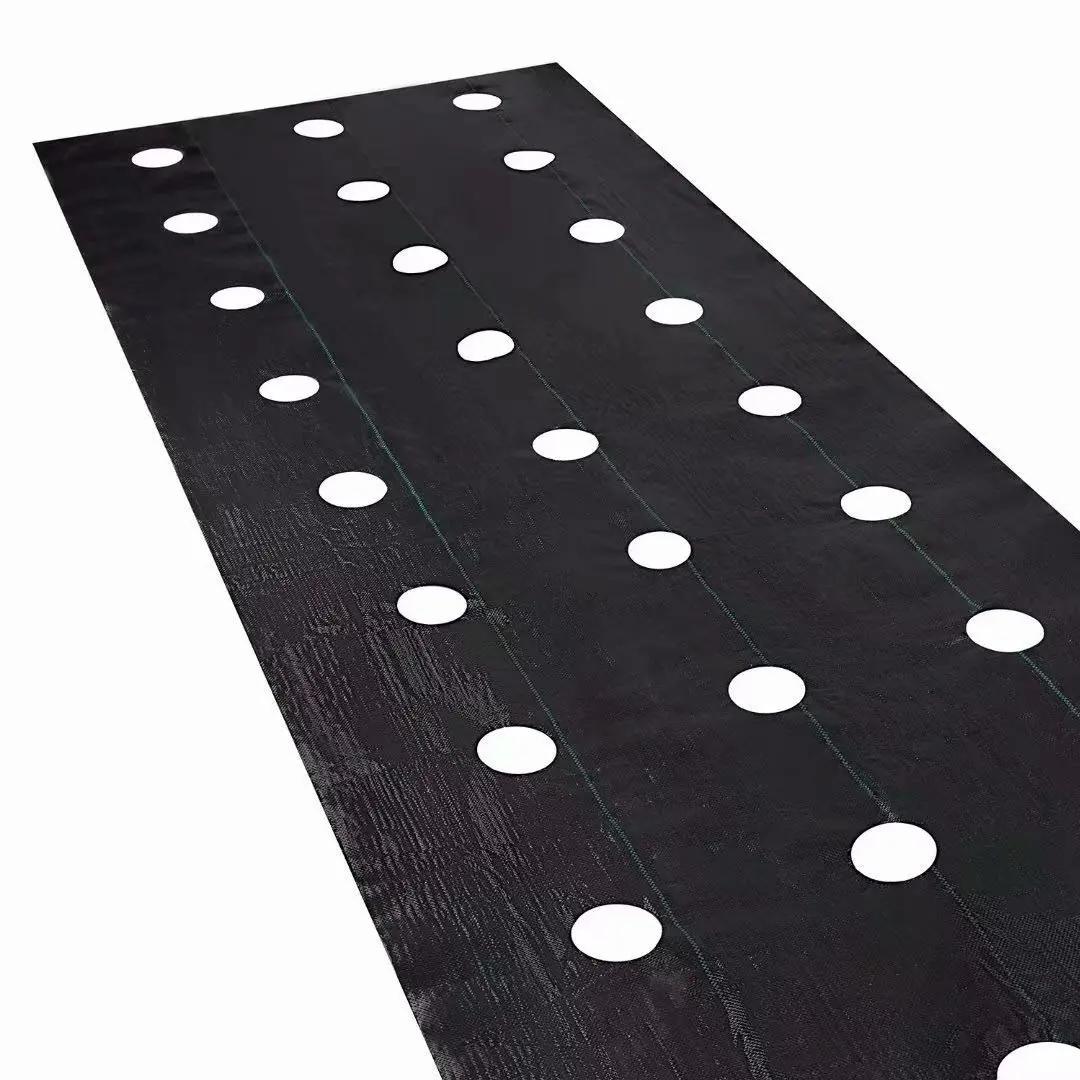 Easy-Plant Weed nights pour lit suréWer, tapis de jardin extérieur, polymères de jardin, trou de pla