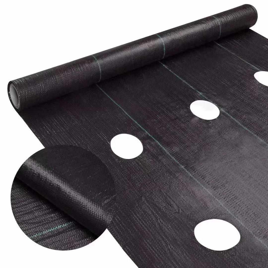 Easy-Plant Weed nights pour lit suréWer, tapis de jardin extérieur, polymères de jardin, trou de pla