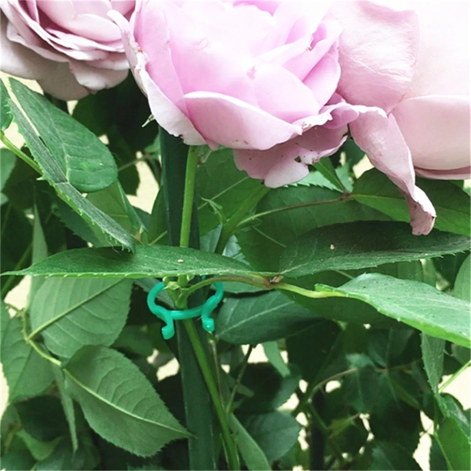 Clips pour plantes de jardin en forme de papillon vert, pince à boucle à levier M, paquet de 100