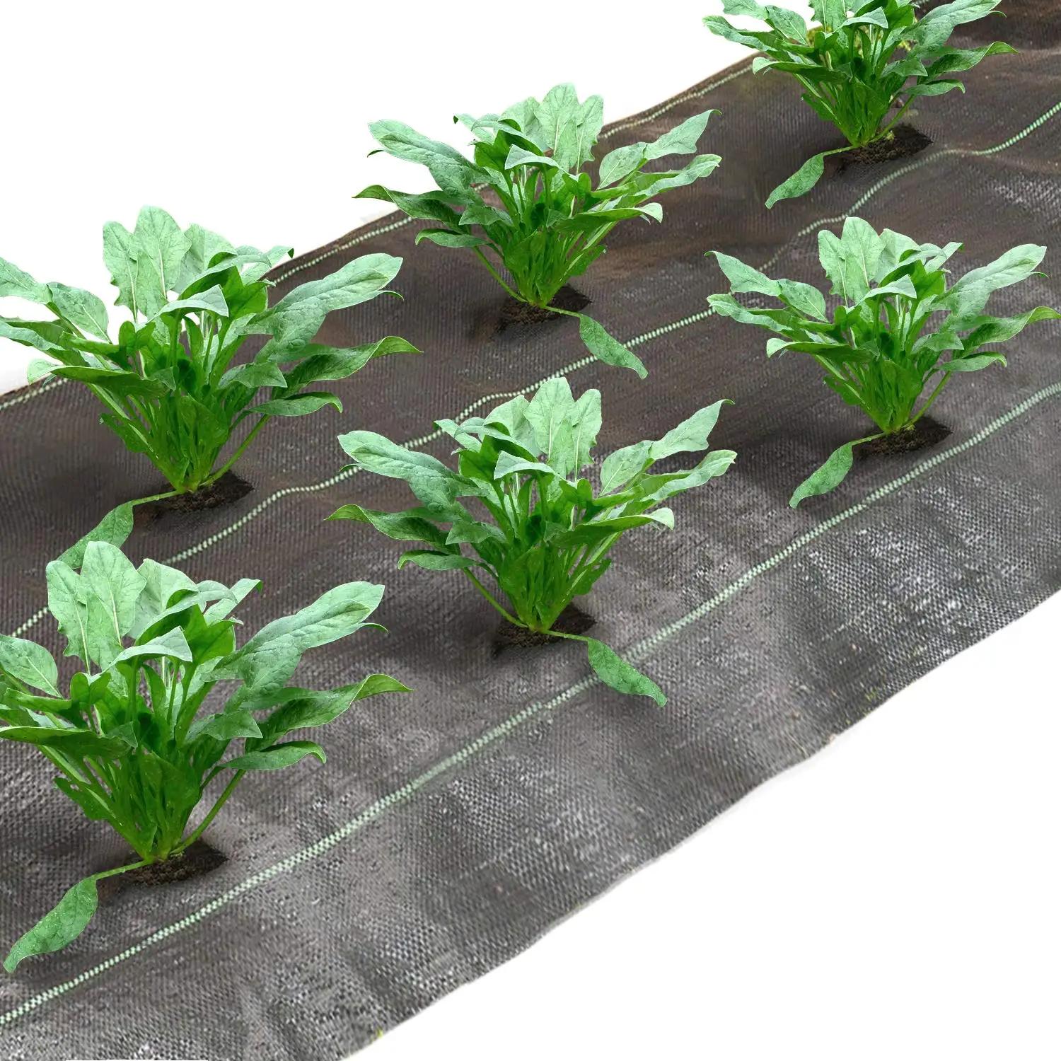 4 pi x 6 pi 6 po. Nuit de mauvaises herbes avec trou de plantation, couverture de jardin, lit suréWe
