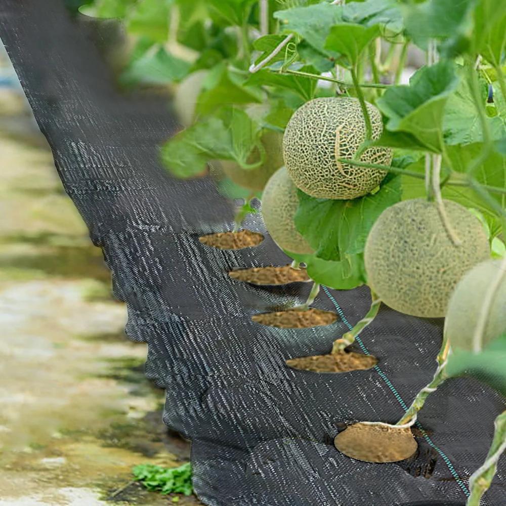 4 pi x 6 pi 6 po. Nuit de mauvaises herbes avec trou de plantation, couverture de jardin, lit suréWe