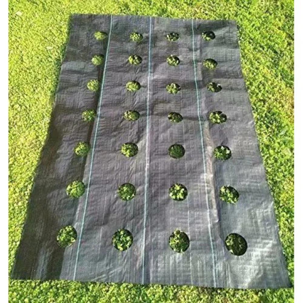 Easy-Plant Weed nights pour lit suréWer, tapis de jardin extérieur, polymères de jardin, trou de pla