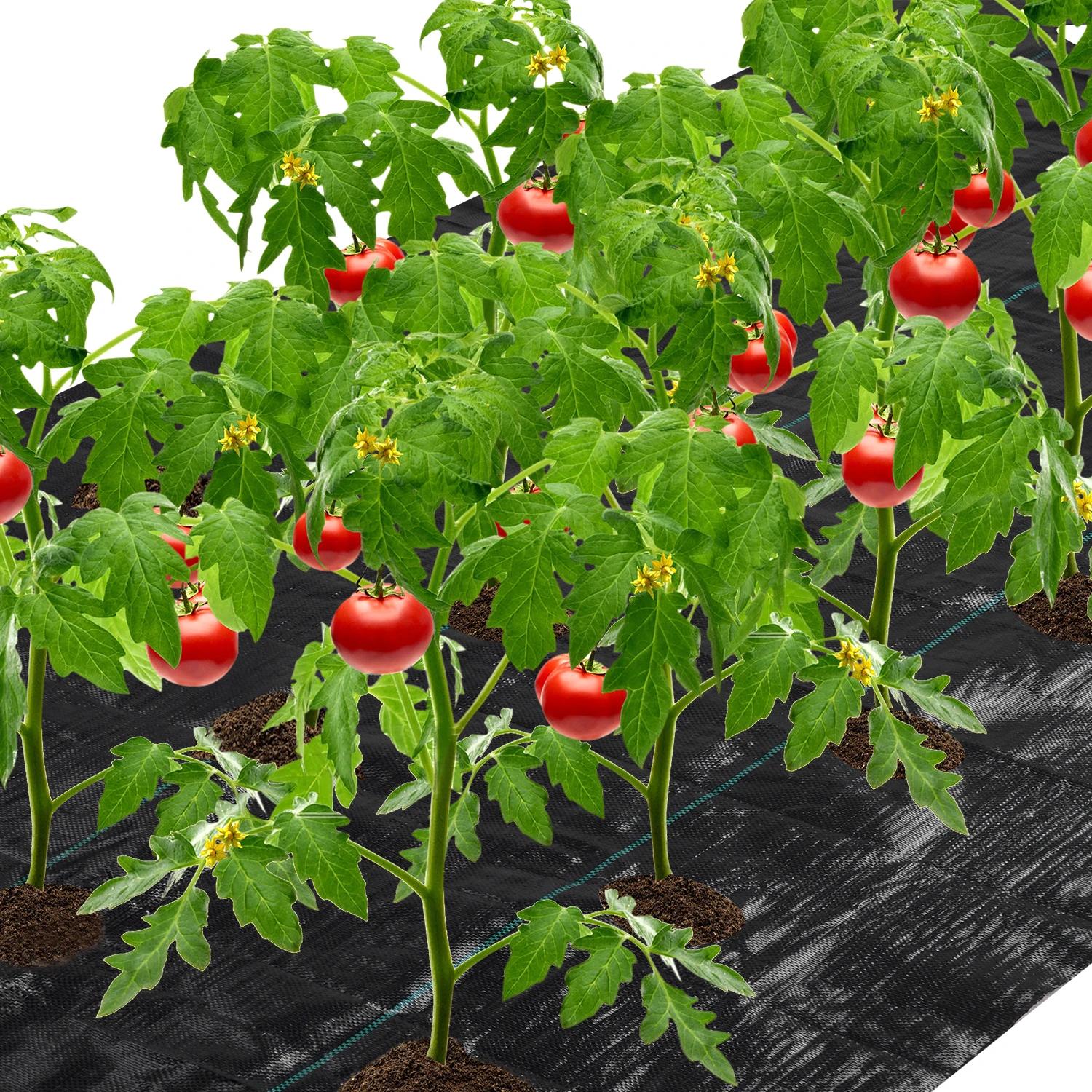 4 pi x 6 pi 6 po. Nuit de mauvaises herbes avec trou de plantation, couverture de jardin, lit suréWe