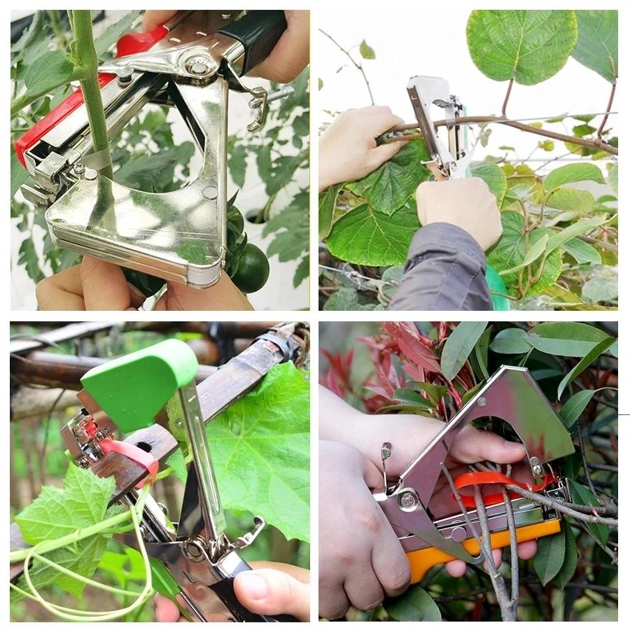 Tapetool pour plantes de jardin, longueur 30m/pièce, 10 rouleaux de ruban adhésif, outils de taille