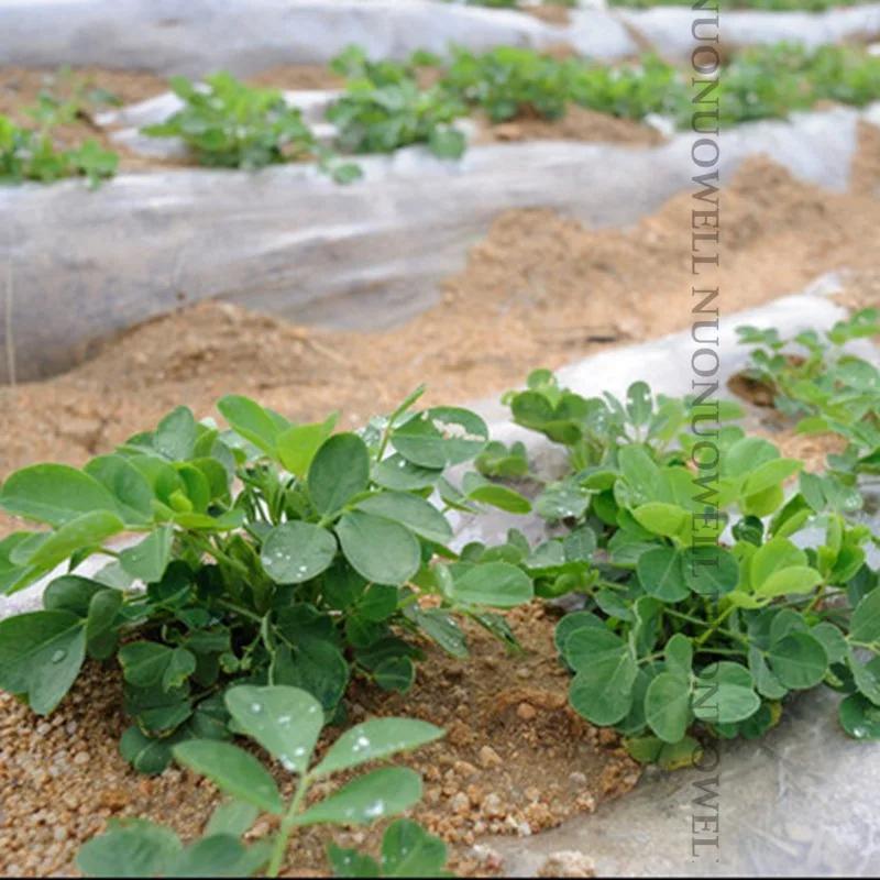 50m 0.6 ~ 2m d'épaisseur 0.01mm Agriculture Film blanc plantation de légumes Film de paillis en plas