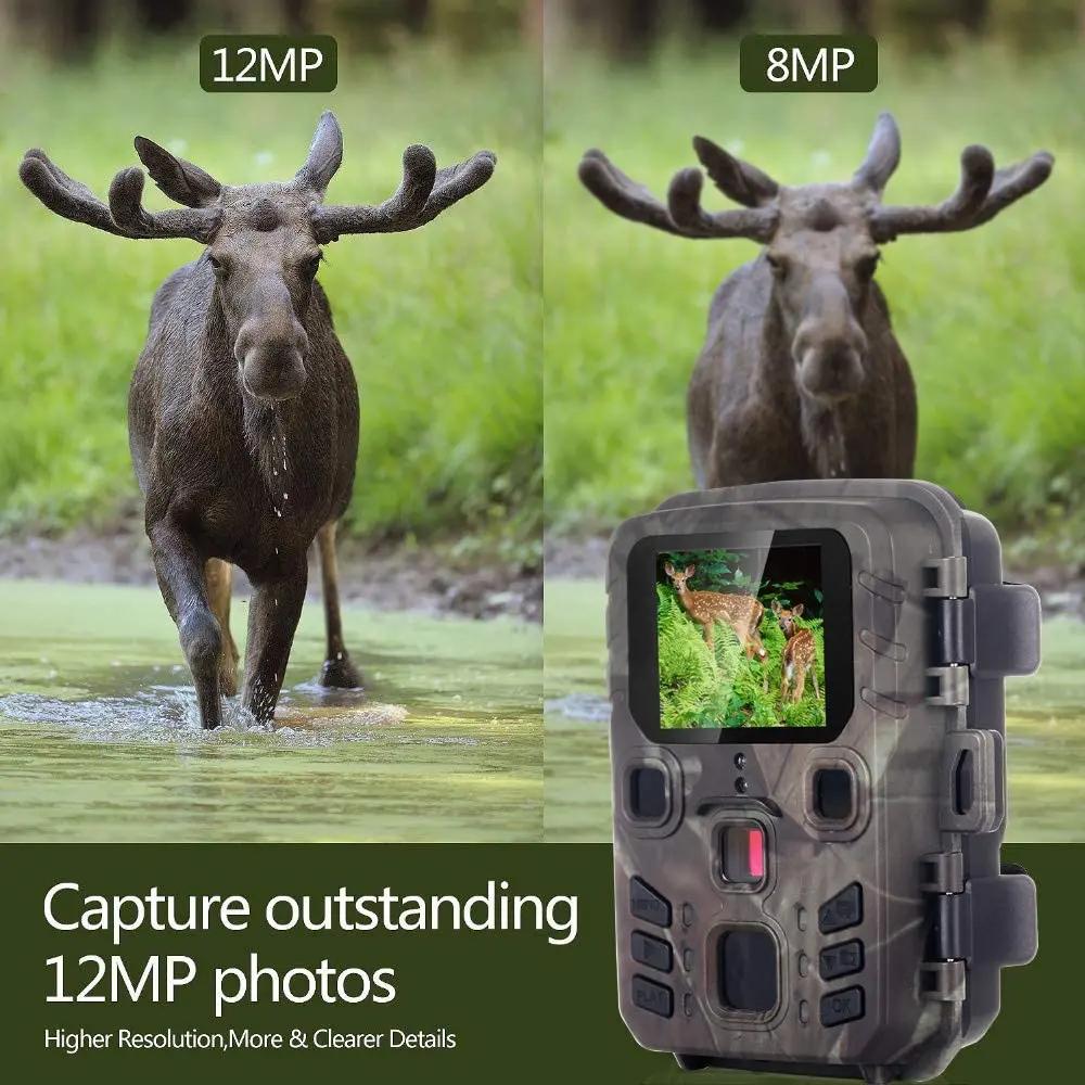 Caméra de chasse 20MP 1080P, caméras de surveillance de la faune en extérieur, vision nocturne, pièg