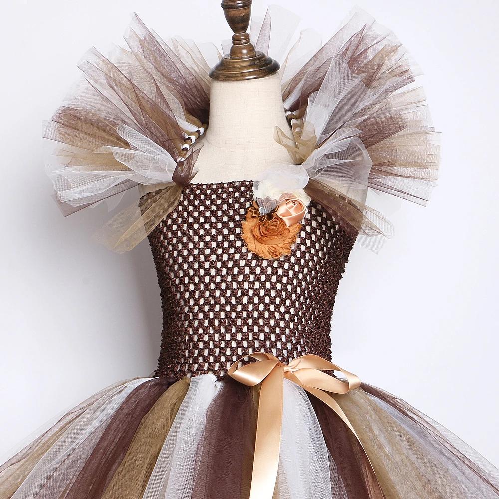 Costume de Lion de la Jungle marron pour bébés filles, robe Tutu fantaisie de fête d'animaux pour en