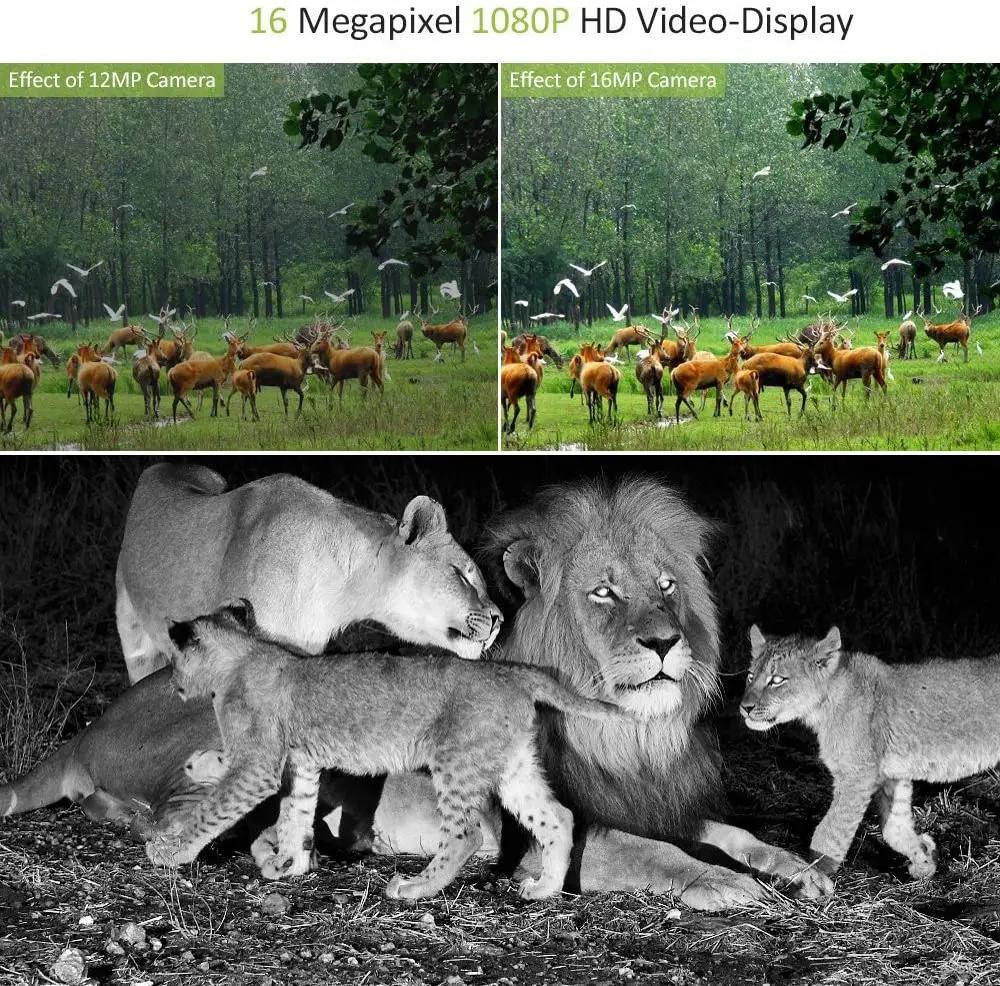 Caméra de chasse 20MP 1080P, caméras de surveillance de la faune en extérieur, vision nocturne, pièg