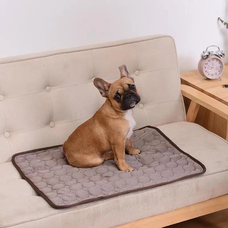 Livraison gratuite Tapis rafraîchissant pour animaux de compagnie, accessoire d'été, pour chiens et