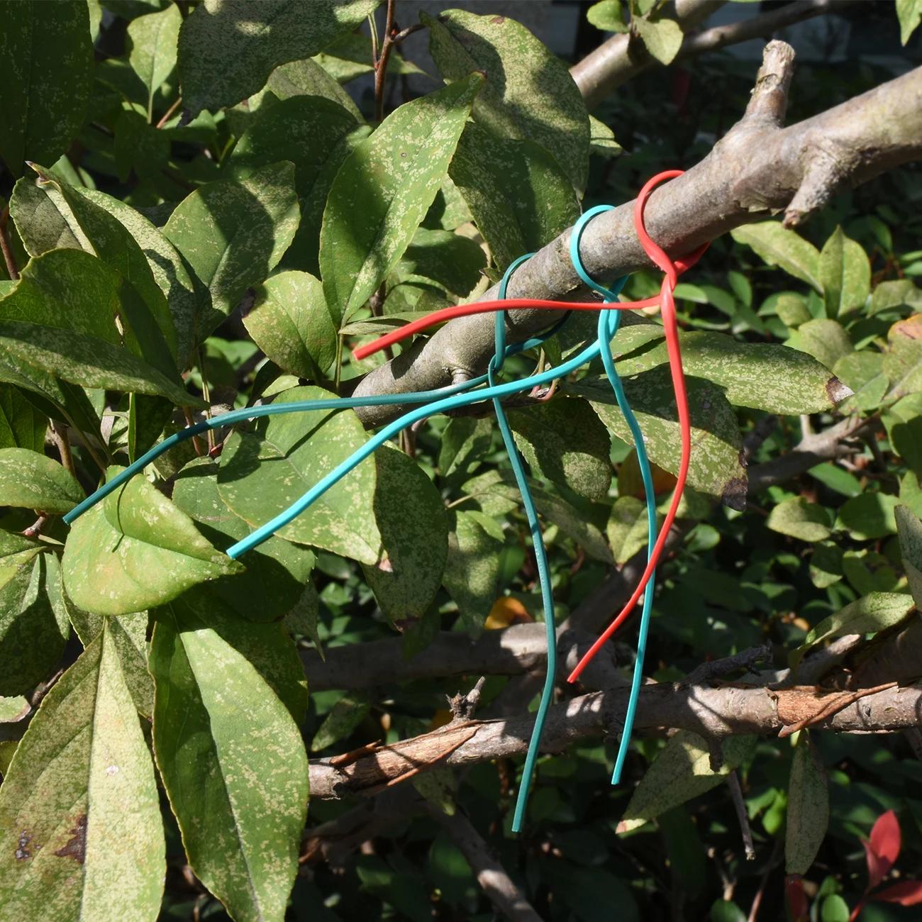 Attaches de câble de jardinage réutilisables, fil de fer Oblate, torsion pour plantes à fleurs, vign