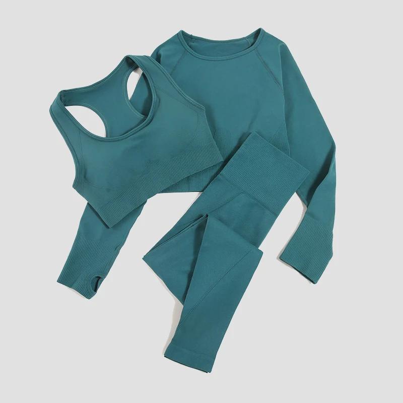 Combinaison Yoga Femme Sans Couture 2/3 Pièces - Haut Manches Longues Soutien-gorge Sport Leggings Course