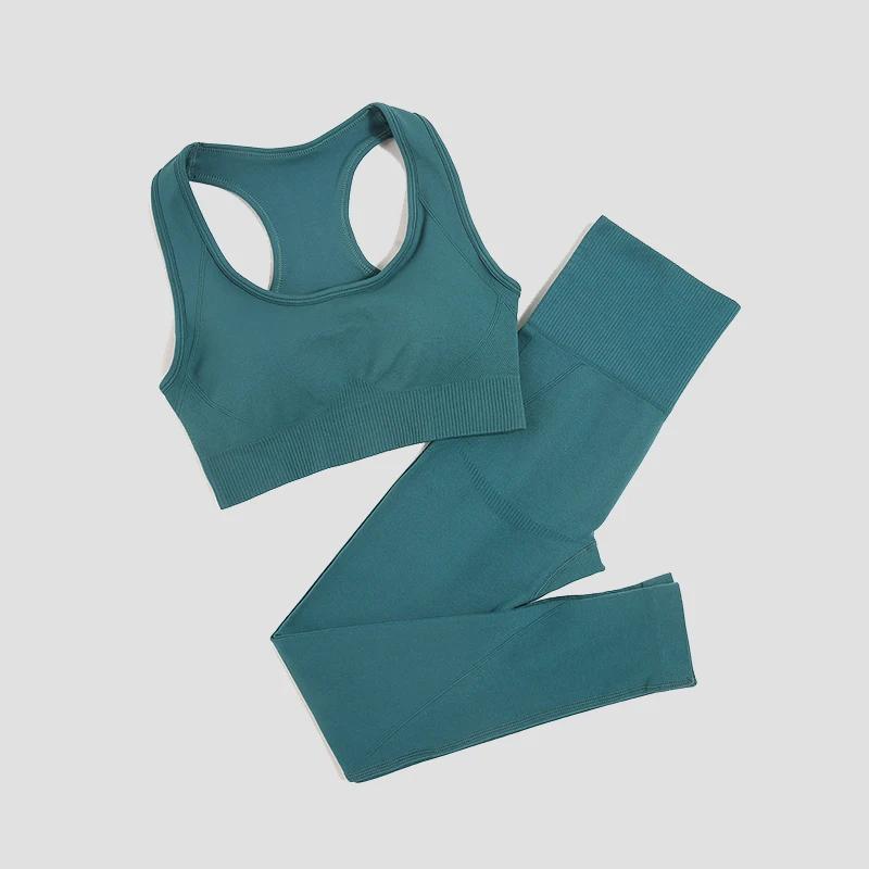Leggings rembourrés sans couture femme - Ensemble sport 2 pièces yoga et fitness confort optimal
