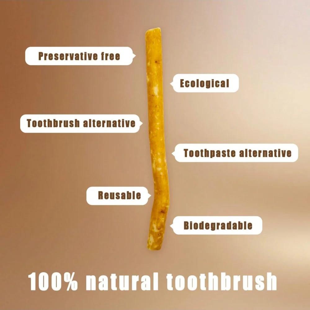 Brosse à dents Miswak aromatisée lilas, branche spéciale, bâton de brosse à dents traditionnelle sce