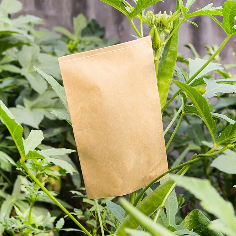 100 pcs/lot 6x10 cm sac en papier Kraft Mini enveloppe cadeau bonbons sacs Snack cuisson graine paqu