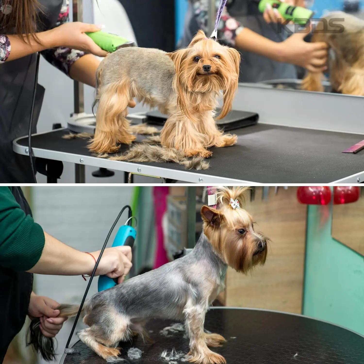 Lame de tondeuse professionnelle pour animaux de compagnie, adaptée à la plupart des tondeuses Andis