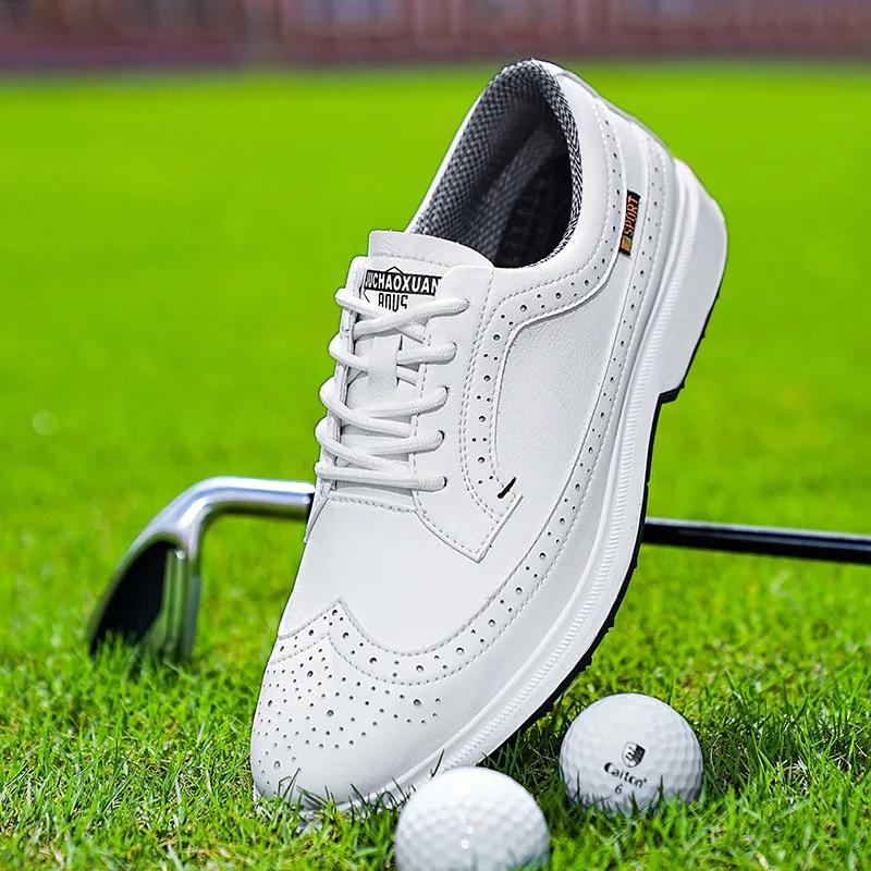 Chaussures Golf Professionnelles Hommes Cuir Respirant - Compétition Entraînement Grandes Tailles 39-47
