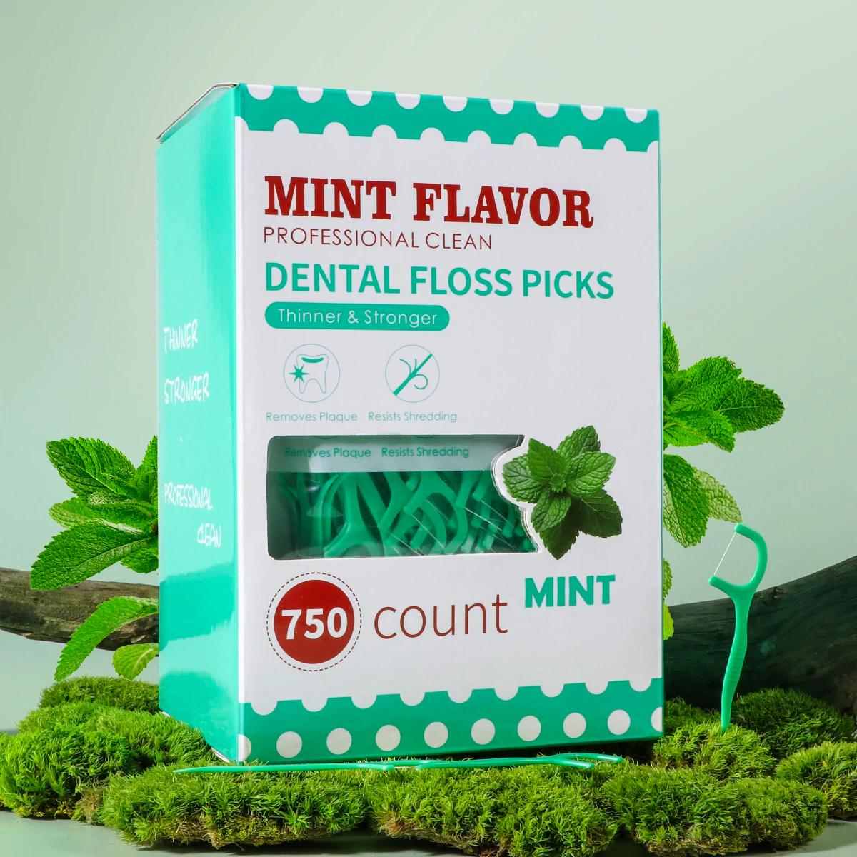 Bâton de fil dentaire à la menthe-bâton de fil dentaire jetable portable à domicile-soins bucco-dent