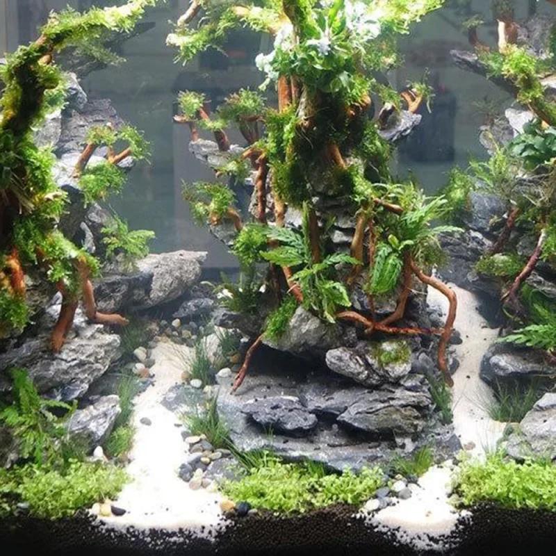 Arbre de tronc de racine de bois flotté naturel, micro paysage d'aquarium, ornements précieux de poi