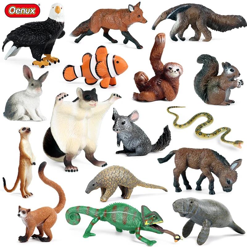 Oenux Simulation mignon forêt animaux sauvages figurines hibou Pangolin lamantin lapin modèle Miniat