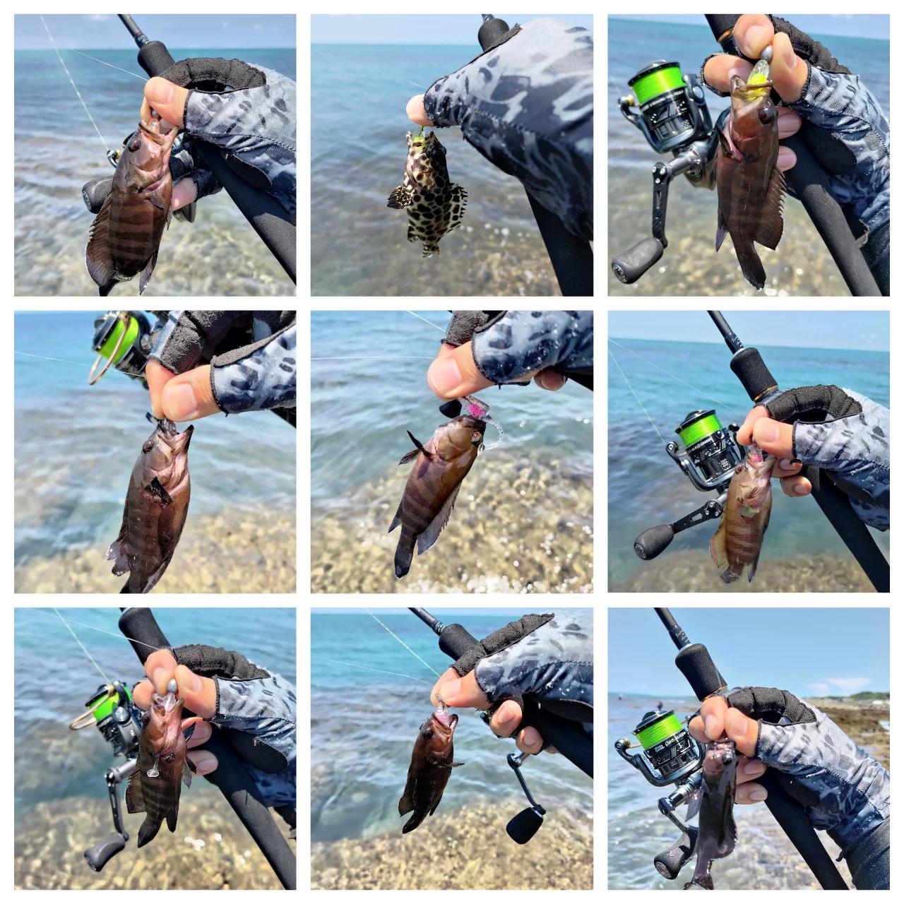 JOHNCOO 5 cm 0.8g T pagaie queue Shad Ajing leurre de pêche Rockfish caoutchouc souple leurre artifi