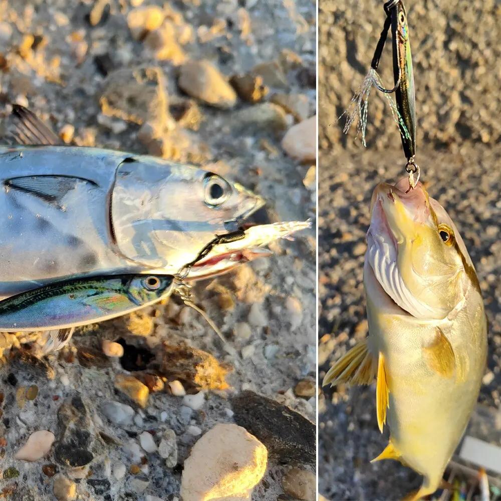 Leurre de pêche en métal avec hameçon coulé sur le rivage, appât Él, couverture laser, brochet de me