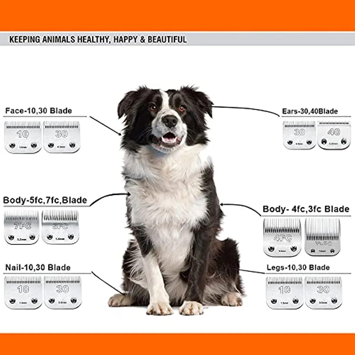 Remplacement de tondeuse de toilettage pour chien, compatible avec les tondeuses pour chien Andis Wa
