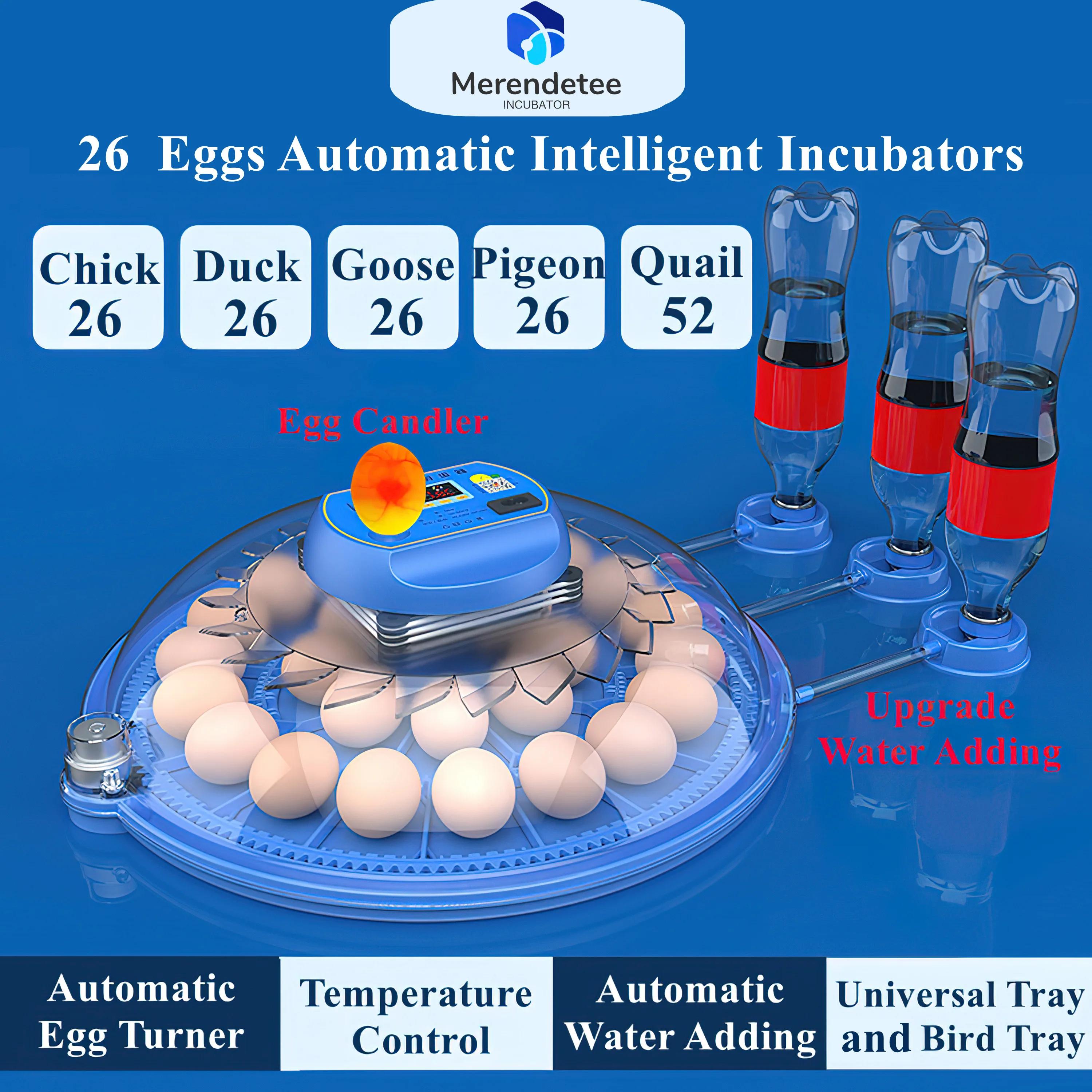 Incubateur automatique pour œufs 26 à 52 œufs, mise à niveau automatique de l'ajout d'eau, vue résis