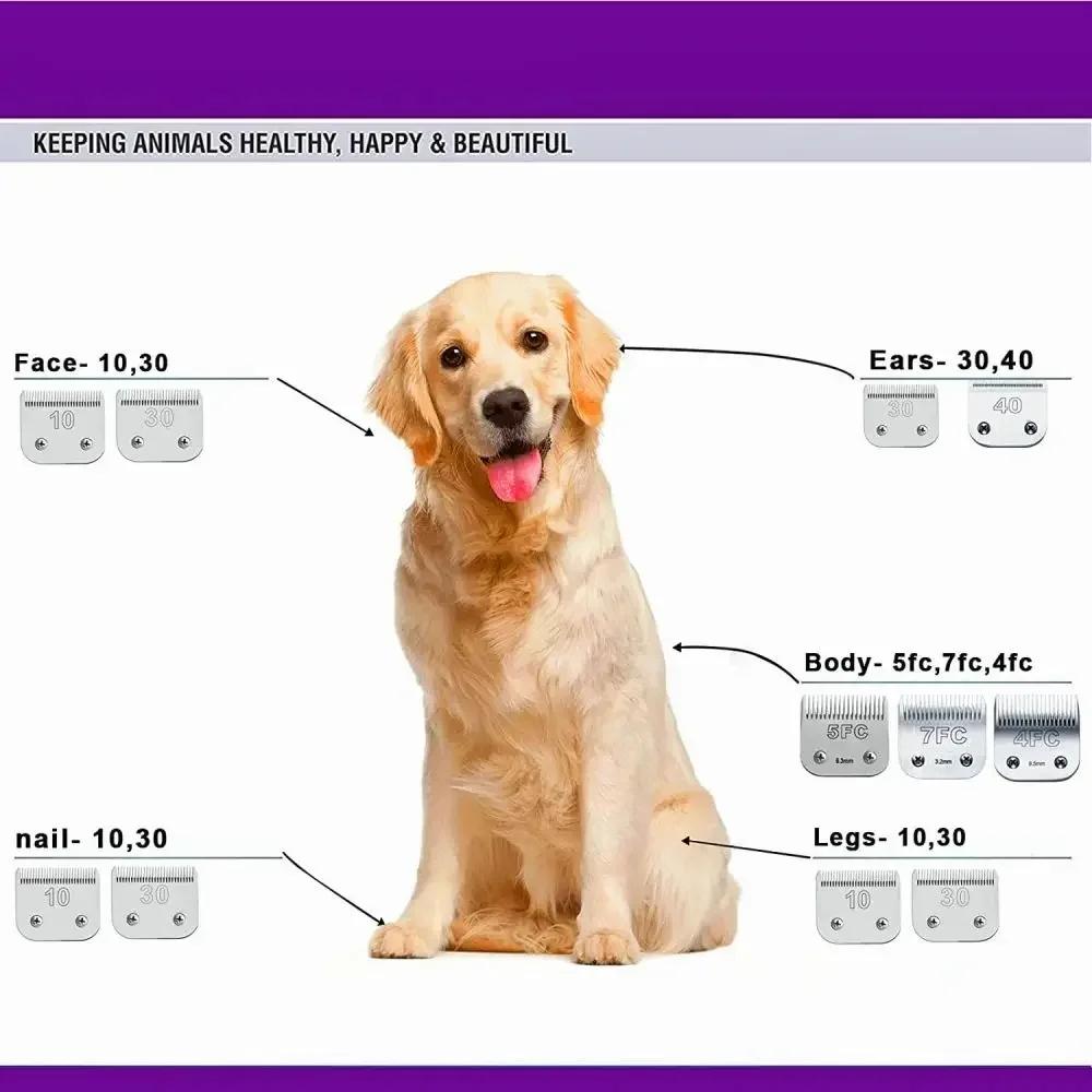 Lame de tondeuse professionnelle pour animaux de compagnie, adaptée à la plupart des tondeuses Andis