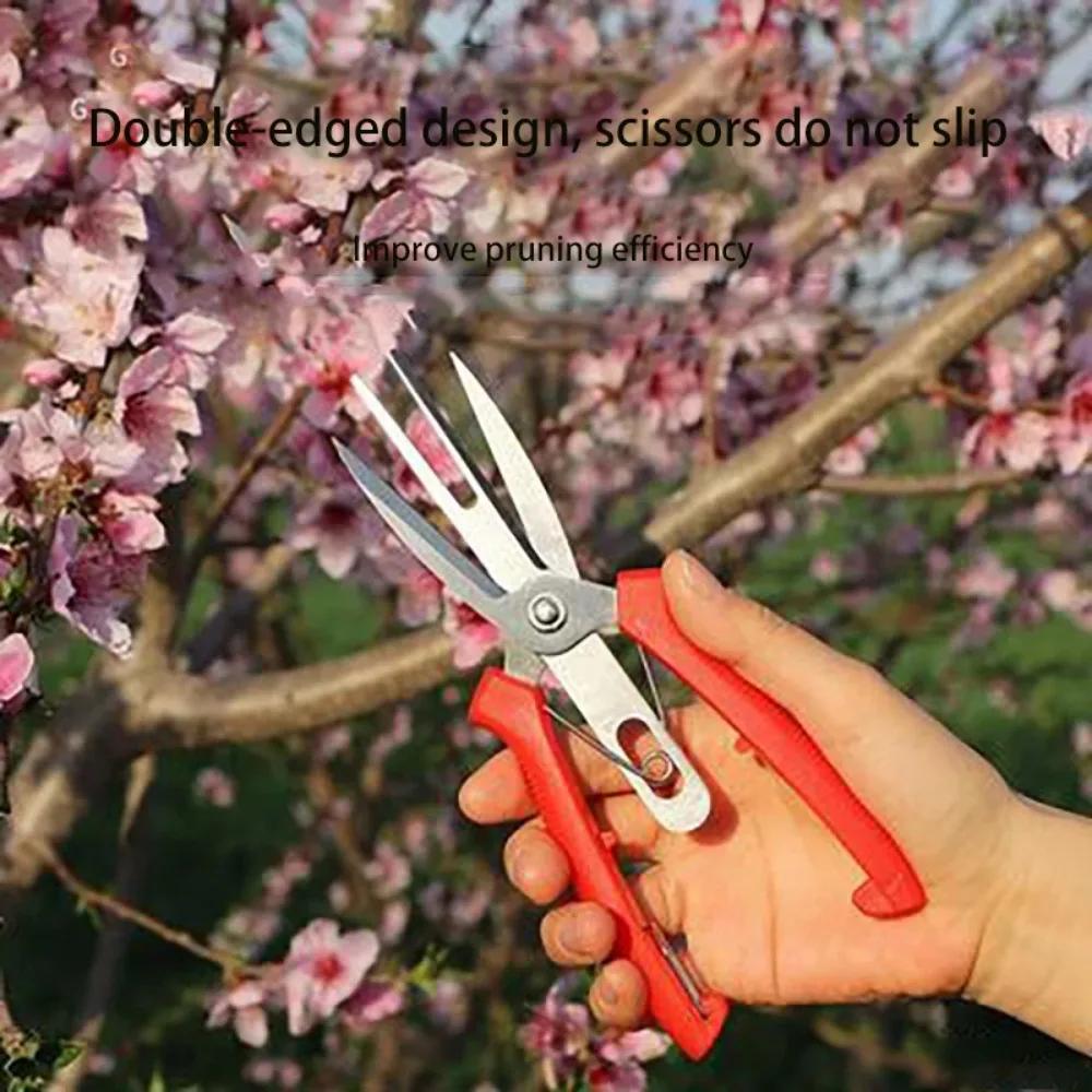 Ciseaux amincissants agricoles à Double port, ciseaux amincissants pour bonsaï, fruits et fleurs, ou