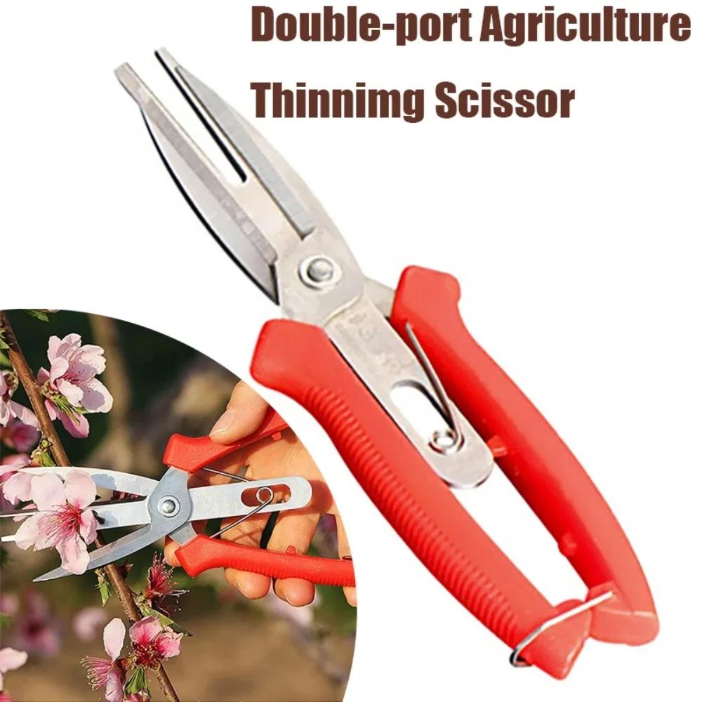 Ciseaux amincissants agricoles à Double port, ciseaux amincissants pour bonsaï, fruits et fleurs, ou