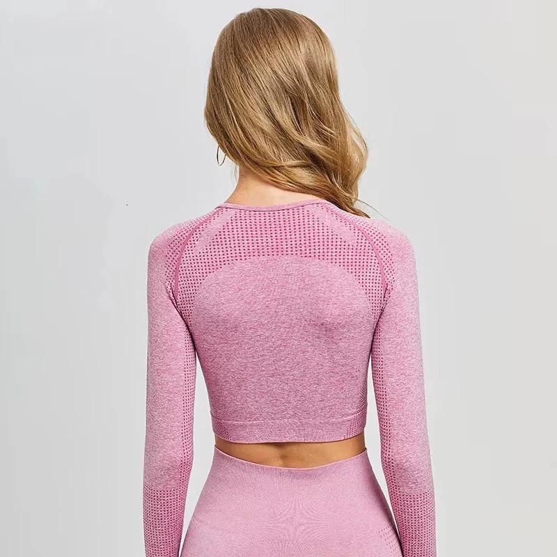 Haut court sans couture à manches longues pour femmes, haut de sport, vêtements de yoga, t-shirts de
