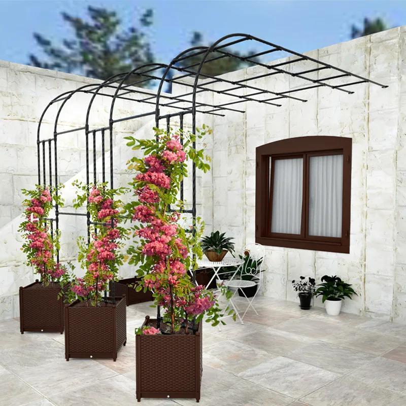 Support de jardin extérieur pour clématis ou roses, Support de vigne de raisin Durable, Support demi