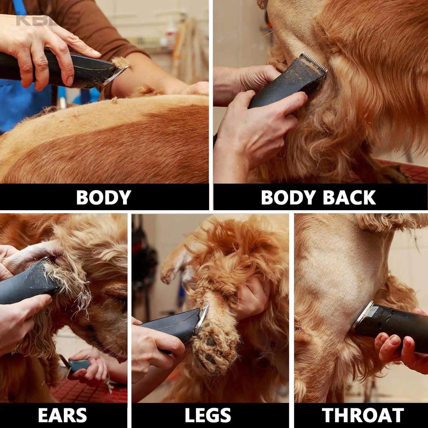 Lame de tondeuse professionnelle pour animaux de compagnie, adaptée à la plupart des tondeuses Andis
