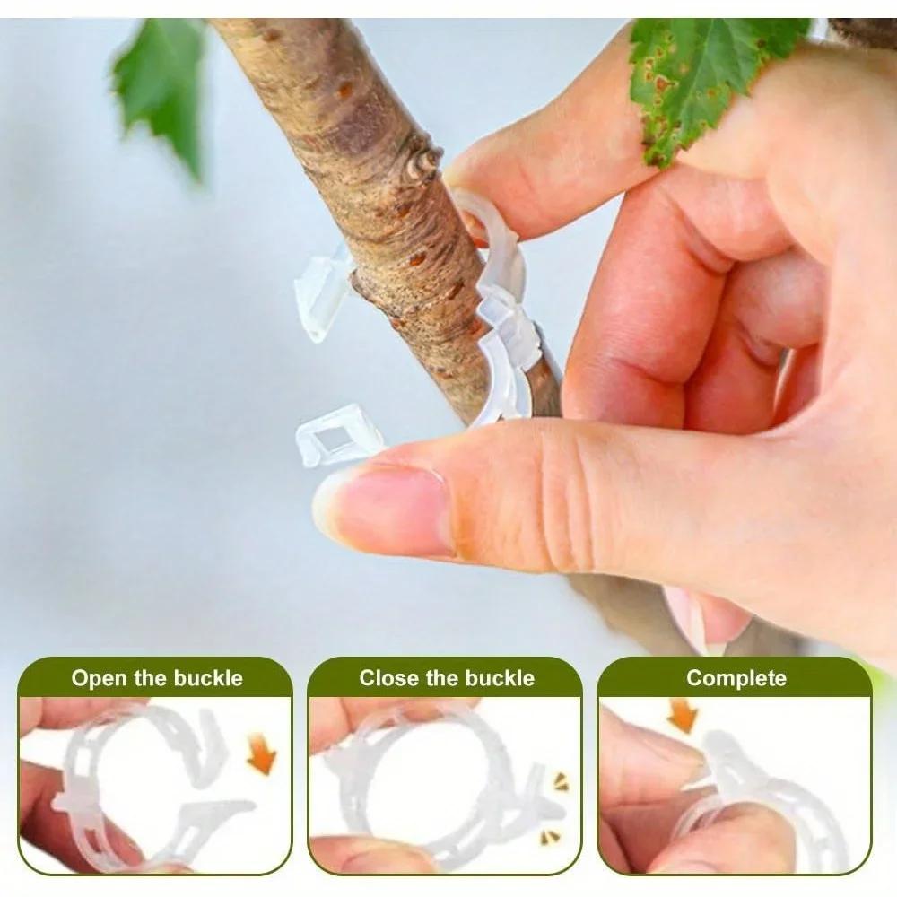 Réinitialisation de plante en plastique pour plantes grimpantes, Clips de support de plante, Treilli