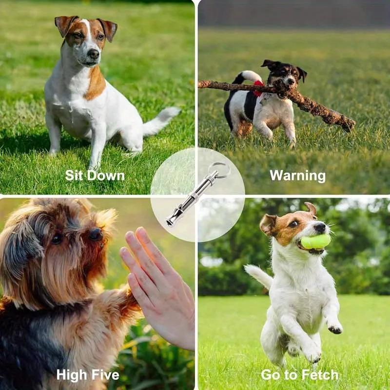 Sifflet pour arrêter d'aboyer pour chien, son réglable, porte-clés, rappel professionnel, animal de
