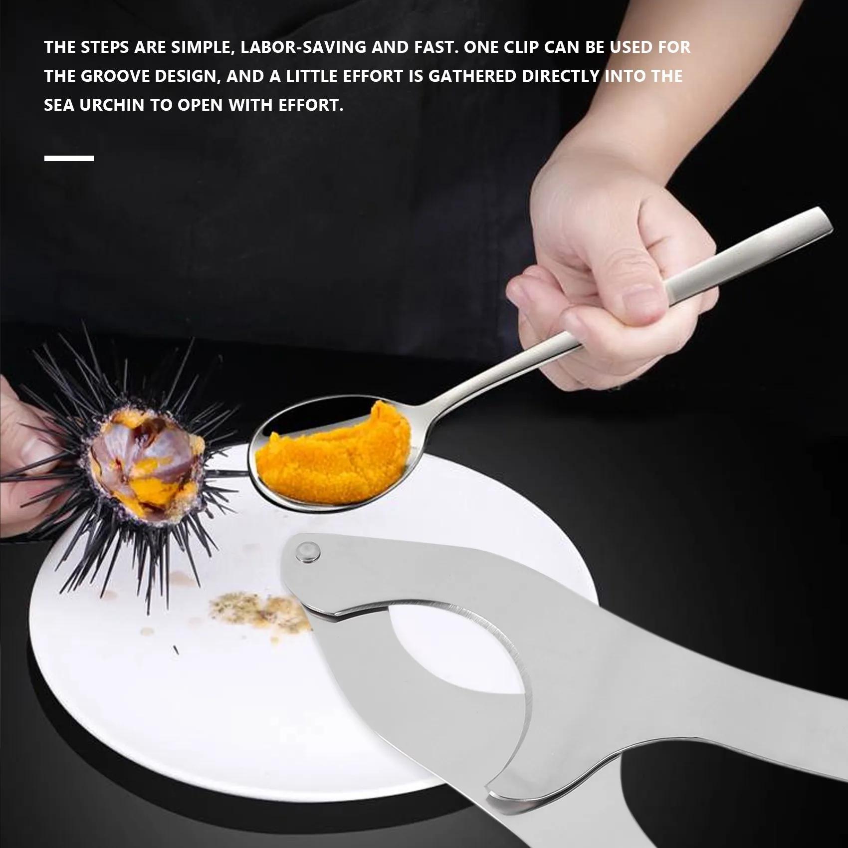 Ciseaux à coquille d'oursin en acier inoxydable, outils d'ouverture de coquille d'oursin, économie d