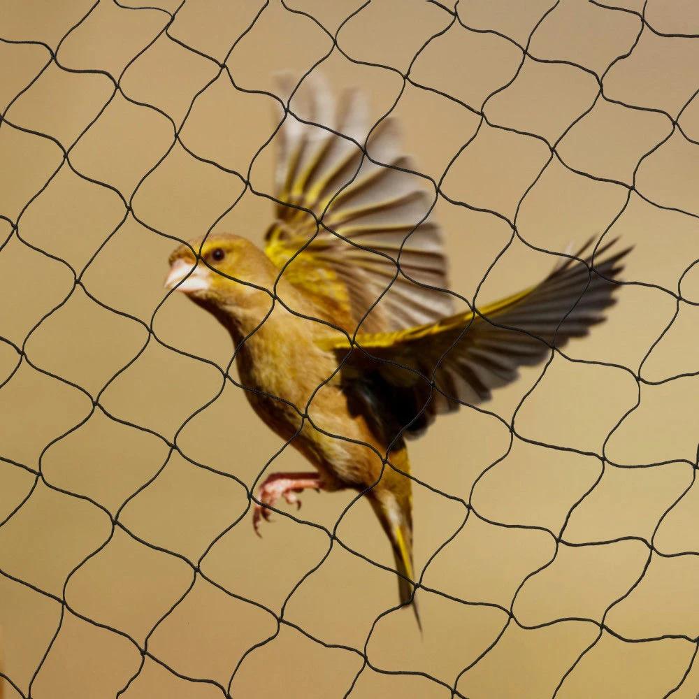 Filet anti-oiseaux en nylon pour cultures fruitières, 100 "x 50", pour protéger les arbres des oisea