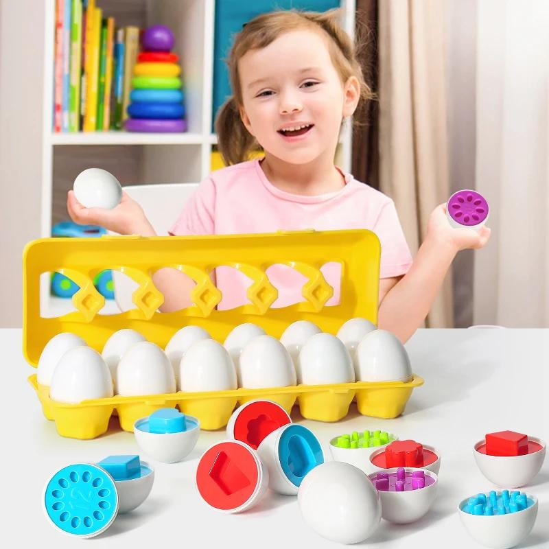 Oeufs vis 3D Puzzle Montessori apprentissage éducation mathématiques jouets enfants forme Match jeu