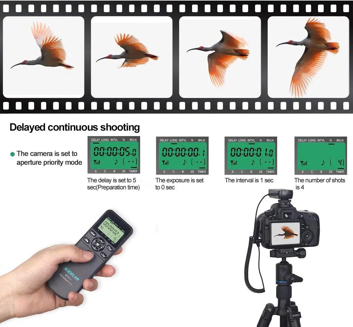 AODELAN minuterie à distance sans fil et déclencheur d'obturation d'appareil photo LCD pour certaine