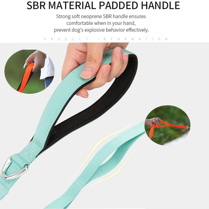 PEQUE COMBINATION Laisse légère pour chien pour petit, moyen et grand Laisse pour chien à double poi