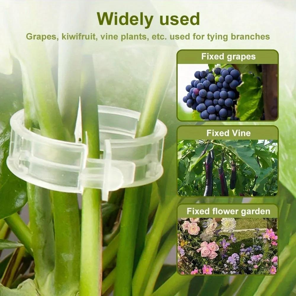 Réinitialisation de plante en plastique pour plantes grimpantes, Clips de support de plante, Treilli