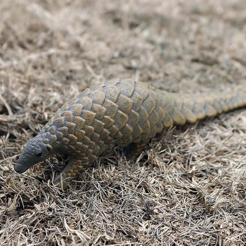 Oenux Simulation mignon forêt animaux sauvages figurines hibou Pangolin lamantin lapin modèle Miniat