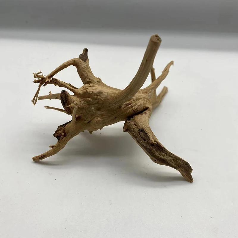Tronc d'arbre naturel en bois flotté, plante d'aquarium, décoration en bois, ornement d'aquarium, ac