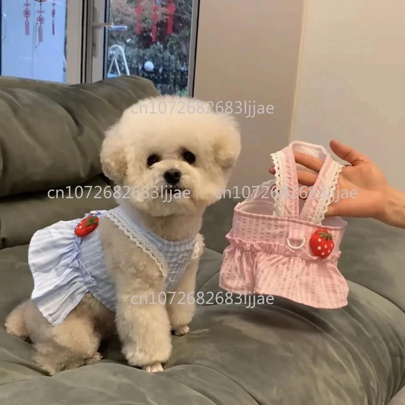 Vêtements pour petits chiens, jupe à laçage pour chiot Bichon, costume pour chien, nouvelle robe d'é